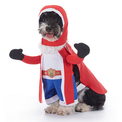 Halloween Dog Costume