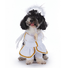 Halloween Dog Costume
