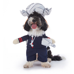 Halloween Dog Costume