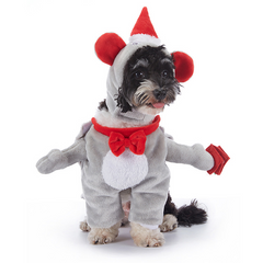 Halloween Dog Costume