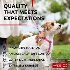 Pink Waterproof Dog Harness – Adjustable for Small Dogs (S, 16–22")