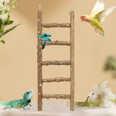 Natural Pepper Wood Bird Ladder Toy – 5-Step Climbing & Chewing Toy