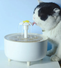 Indoor Pet Water Fountain