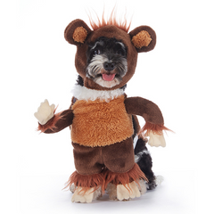 Halloween Dog Costume