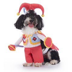 Halloween Dog Costume