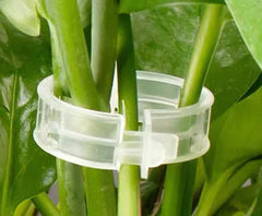 Plastic Plant Support Clips For Vines (One Set)