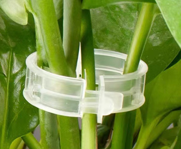 Plant Support Clips for Vines, 100-Pack