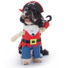 Halloween Dog Costume