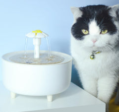Indoor Pet Water Fountain