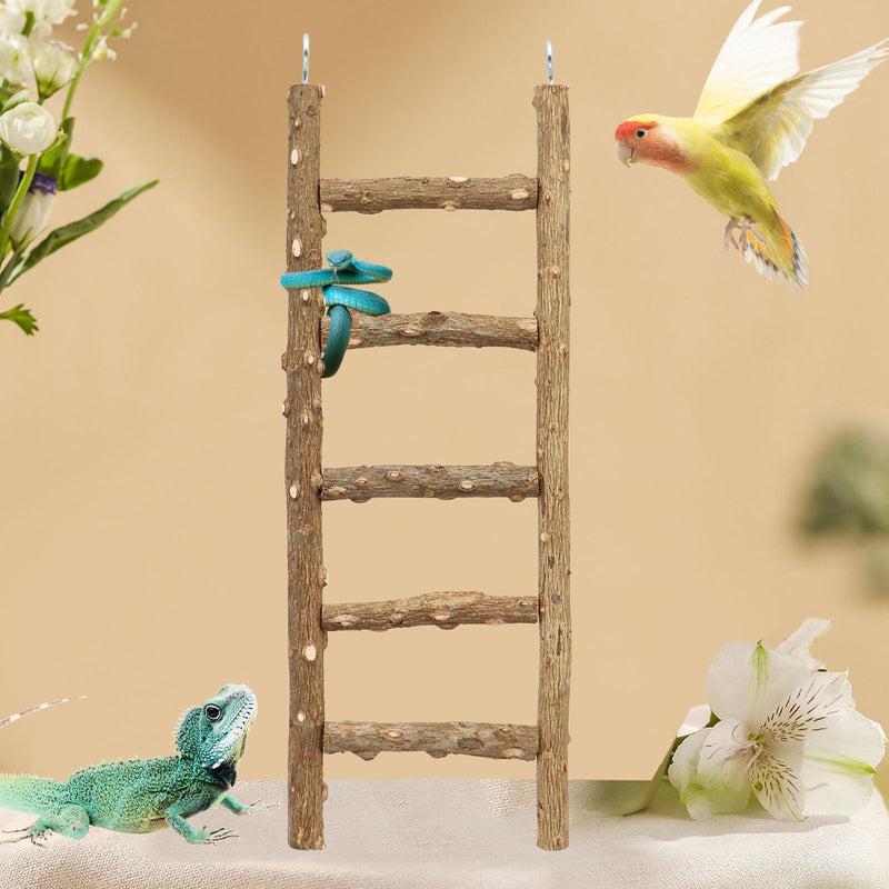 Natural Pepper Wood Bird Ladder Toy – 5-Step Climbing & Chewing Toy