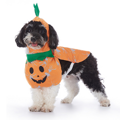 Halloween Dog Costume