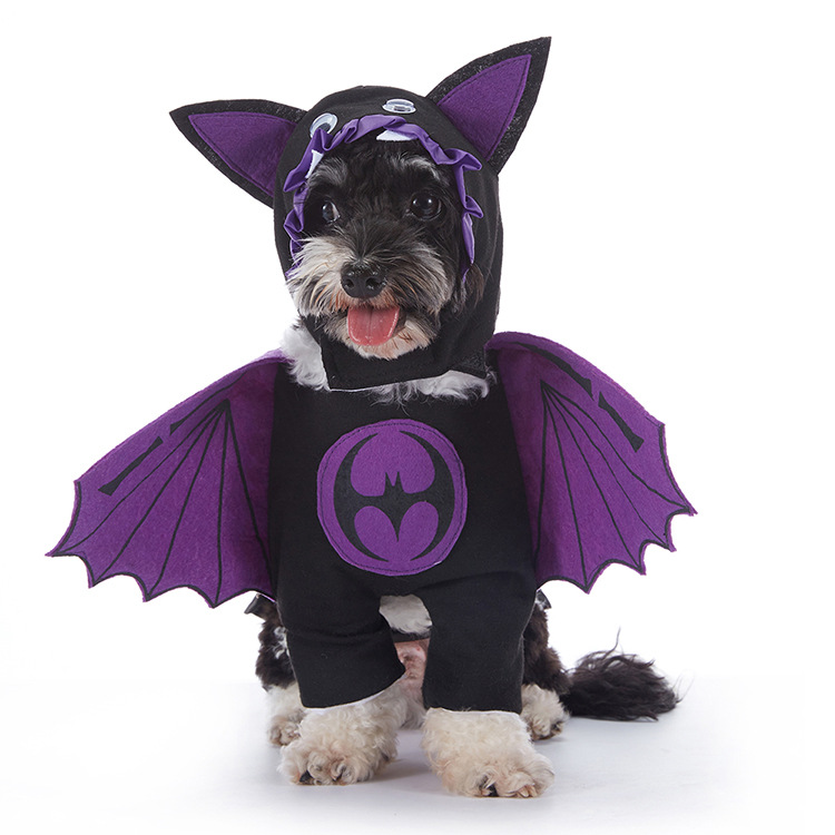 Halloween Dog Costume