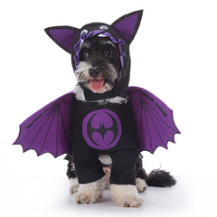 Halloween Dog Costume