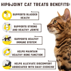Natural Glucosamine for Cats   Effective Cat Joint Supplement That Helps Improve