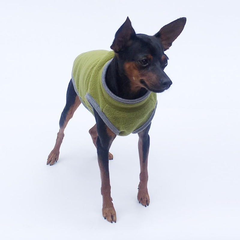 Pet Clothing for Dogs & Cats | Cozy Hoodie in 4 Colors – XS, S, M, L