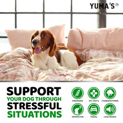 Hemp Calming Chews for Dogs – Natural Anxiety Relief, 170 Chicken Flavor Chews